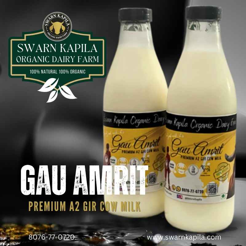 Gau Amrit | Fresh A2 Gir Cow Milk | 100% Pure & Farm-Fresh Delivery