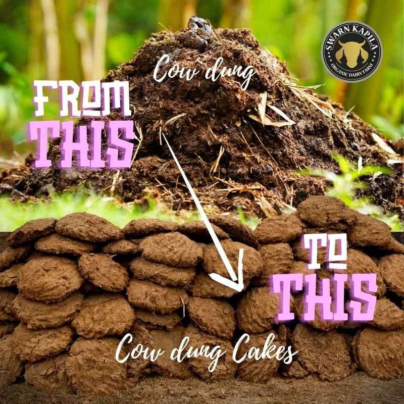 Cow dung cakes | Use of cow dung waste