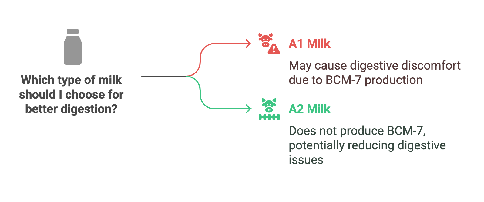 How A2 Milk Can Change Your Lifestyle - visual selection | Why A2 milk is important 