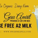 Lactose Free A2 Milk | Gau Amrit - Premium A2 Gir Cow Milk