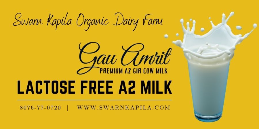 Lactose Free A2 Milk | Gau Amrit - Premium A2 Gir Cow Milk