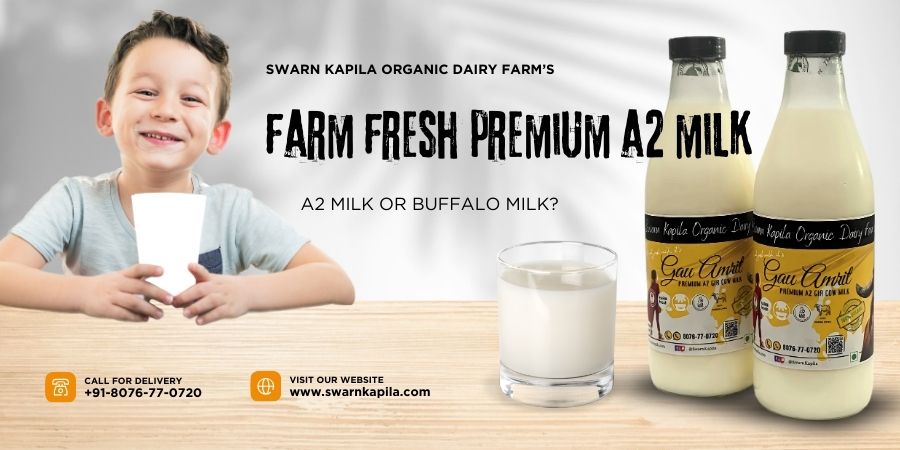 Best milk for toddlers, Desi Gir Cow Milk benefits, Buffalo milk nutrition, A2 milk digestibility.
