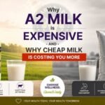 Why A2 Milk is Expensive | Swarn Kapila Organic Dairy Farm